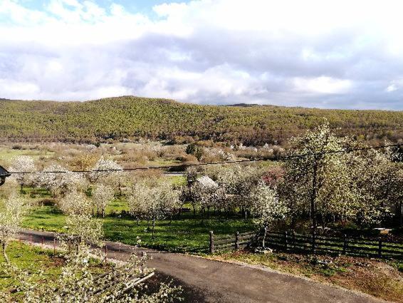 Apartmani Delić Grabusic Zewnętrze zdjęcie
